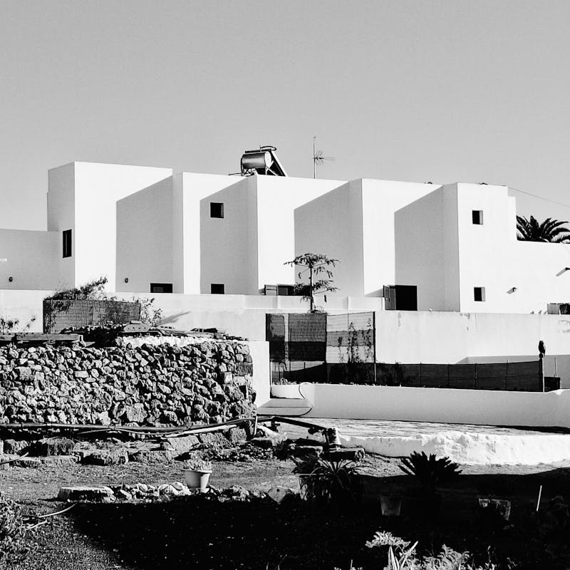 pexels-photo-33303109